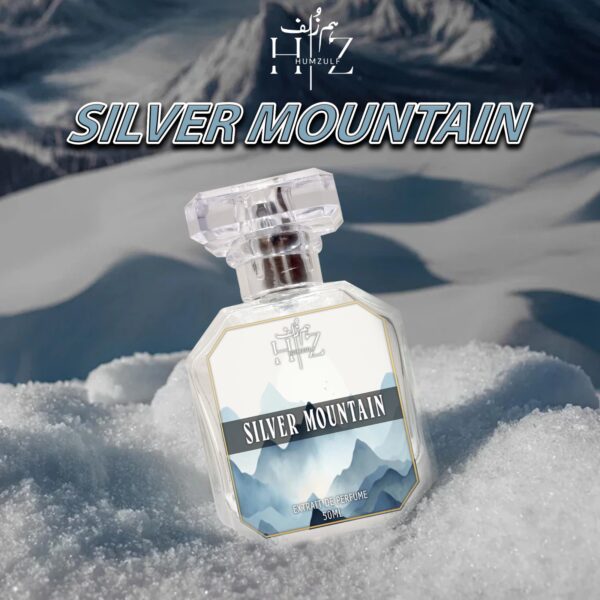 HumZulf! Our Impression of Silver Mountain Water